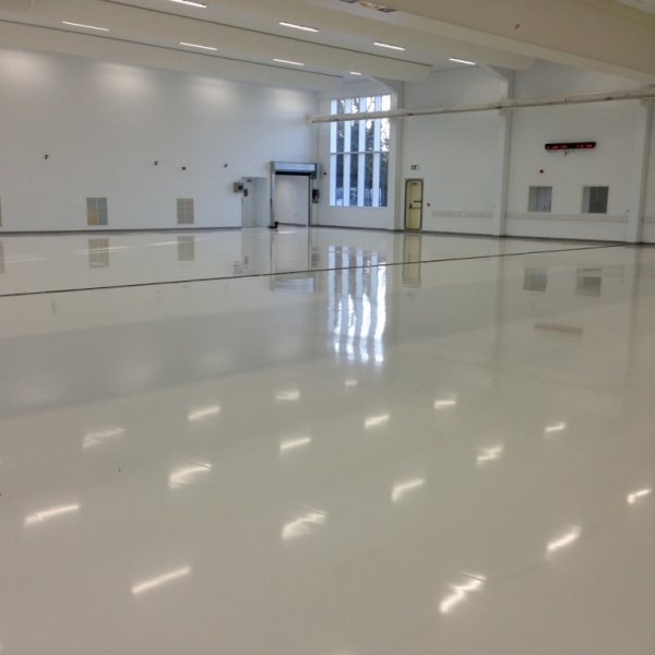 Clean Room With Decorative Flake System